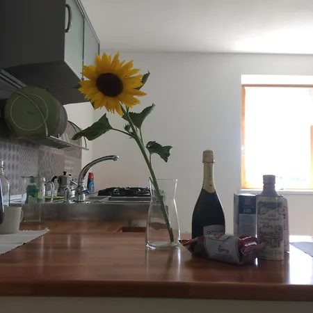 Apartment Alloggio Turistico La Predòlcia